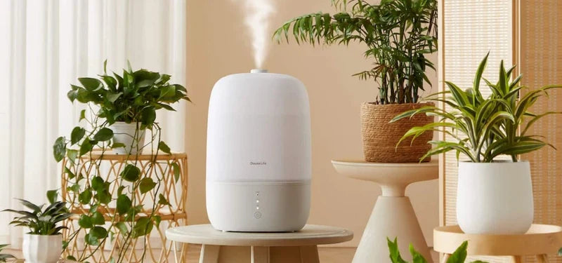 Humidifying: Bring Improved Health & Comfort to the Home