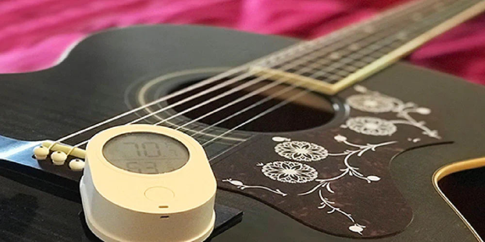 Govee Smart Hygrometer/Thermometer