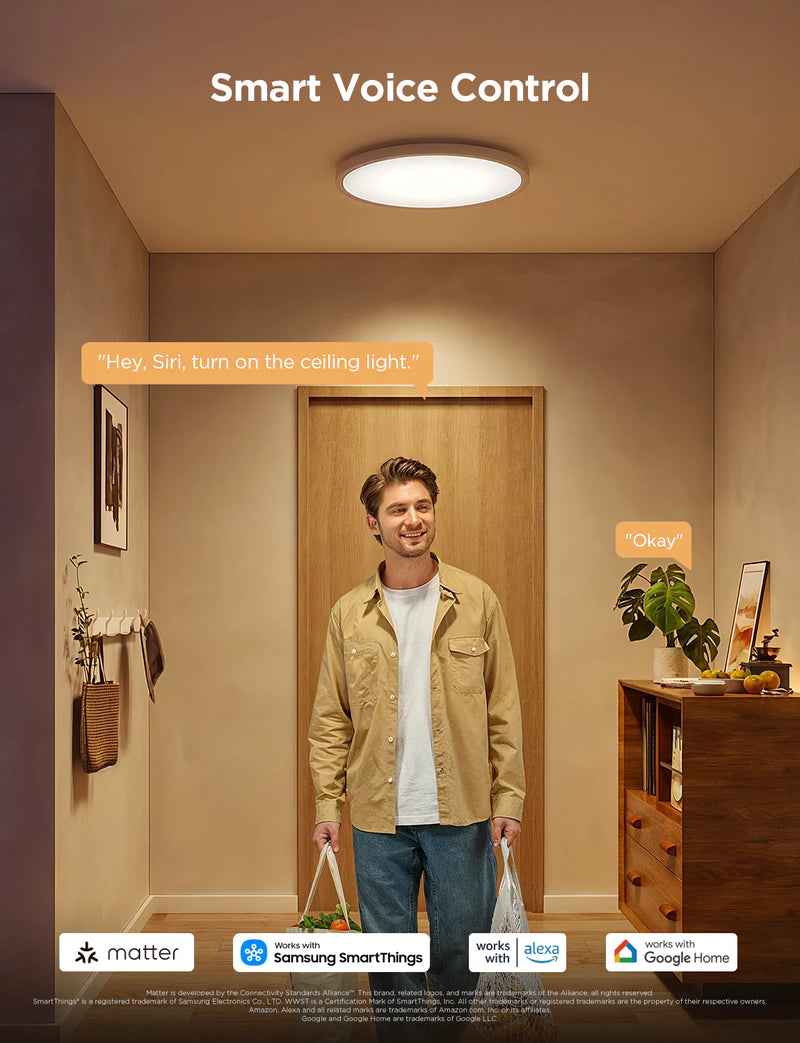 Govee 12 inch RGBWW + RGBIC Round Smart Ceiling Light
