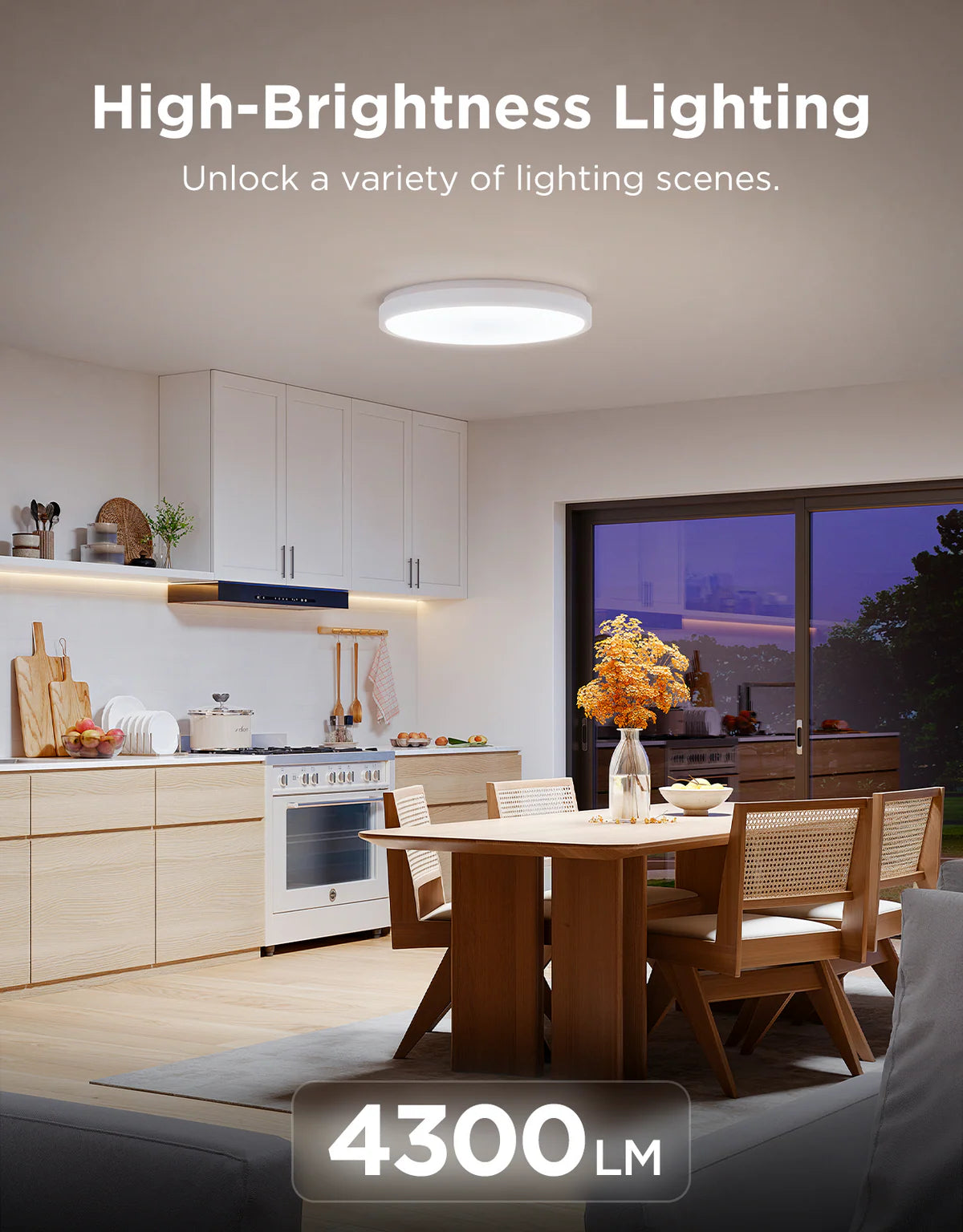 Govee 18-Inch RGBICWW Smart Ceiling Light Pro