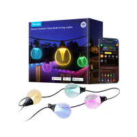 Govee Outdoor Clear Bulb String Lights