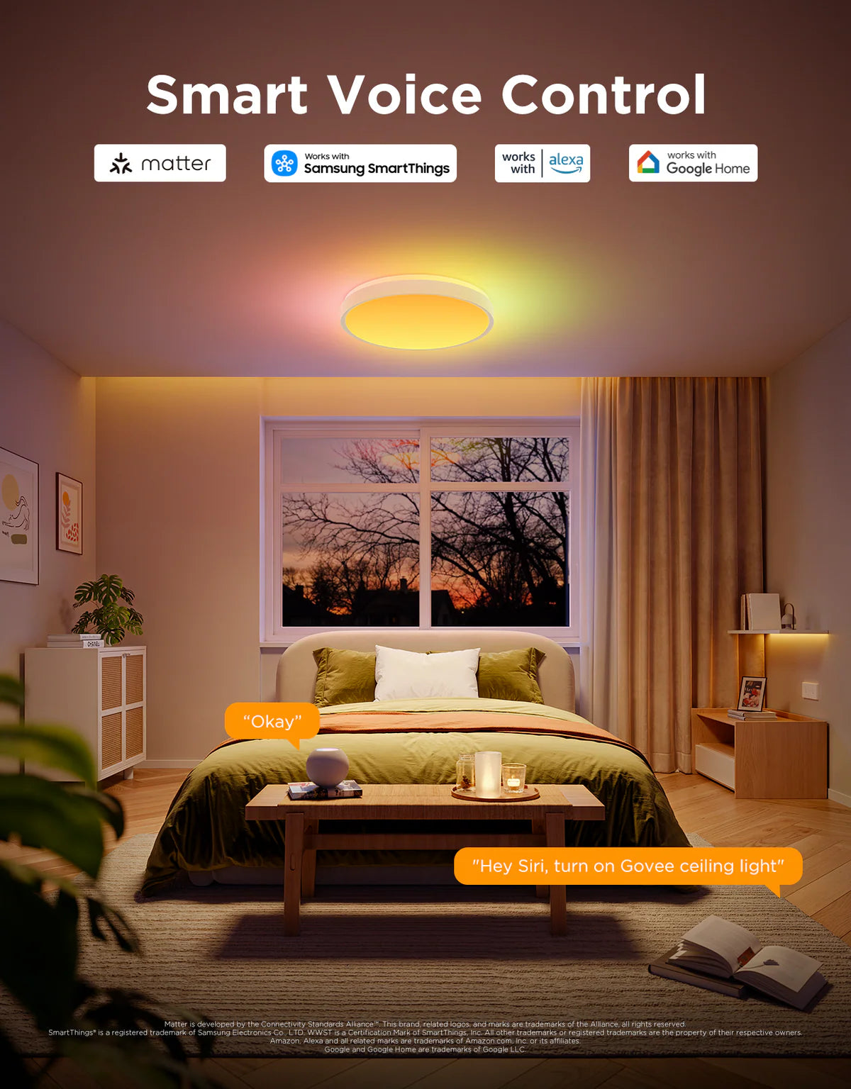 Govee 18-Inch RGBICWW Smart Ceiling Light Pro