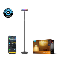 Govee Uplighter Floor Lamp