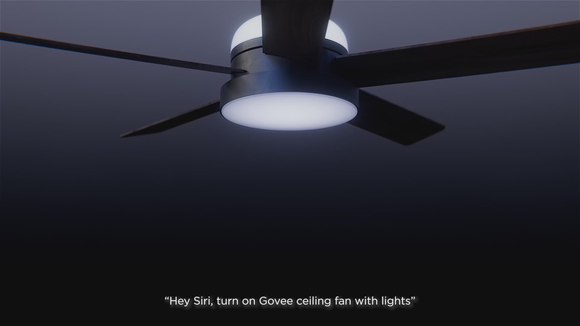 Govee 52 Inch Ceiling Fan with Lights