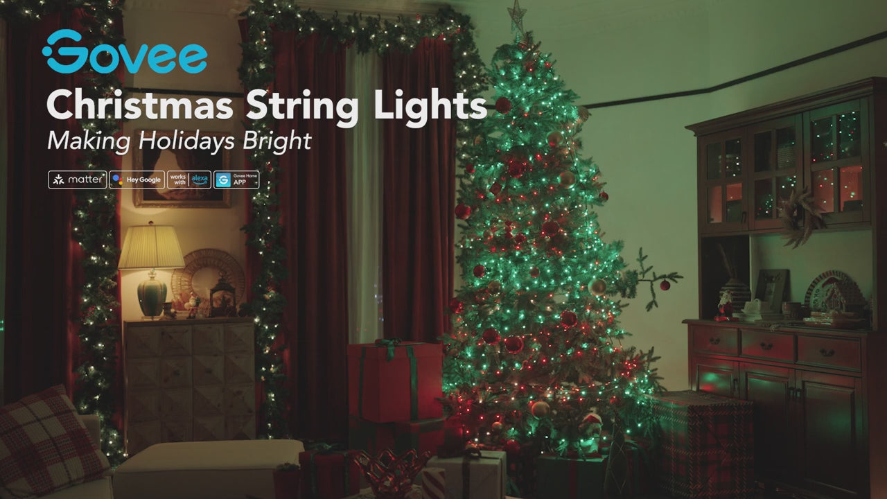 ⁠Govee Christmas Tree String Lights 2S