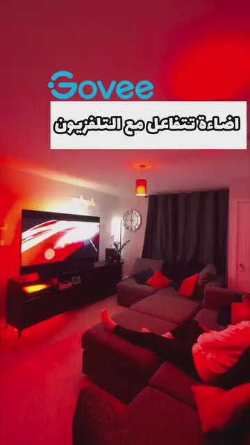 Govee TV Backlight 3 Lite (55 -65 inches)