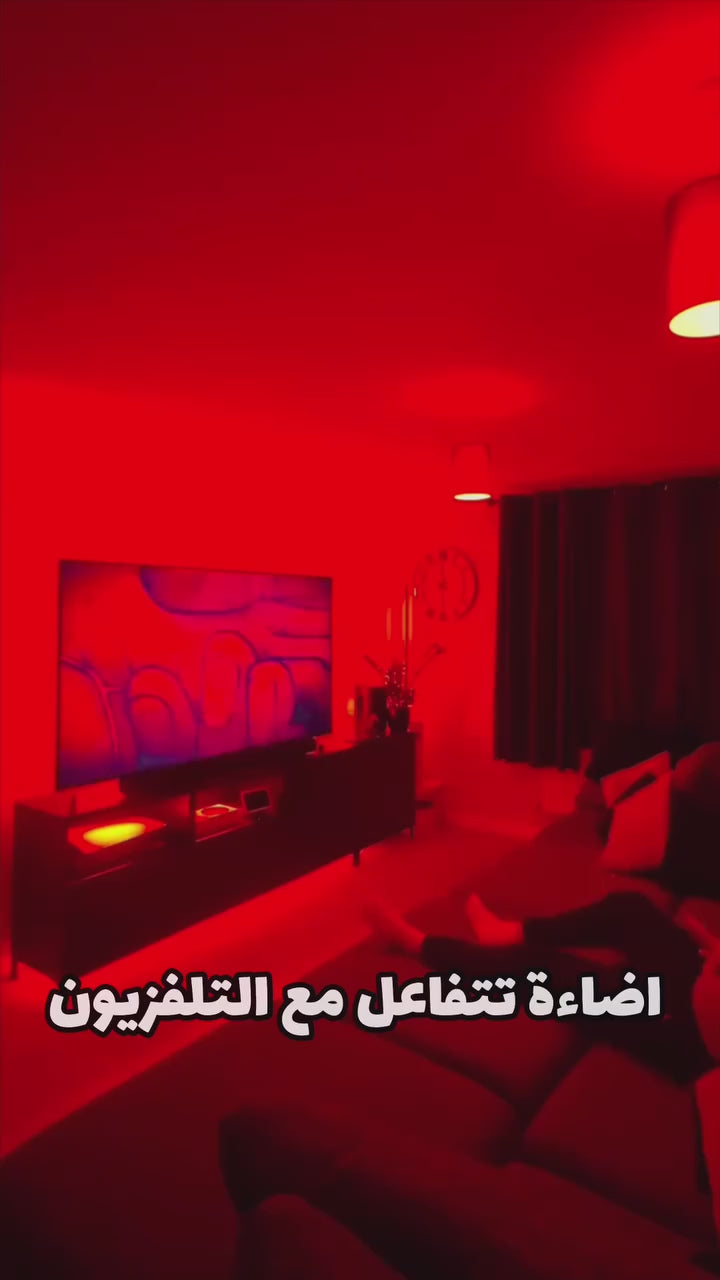 Govee TV Backlight 3 Lite (55 -65 inches)